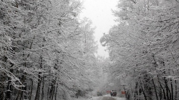 Снимка: архив, БТА