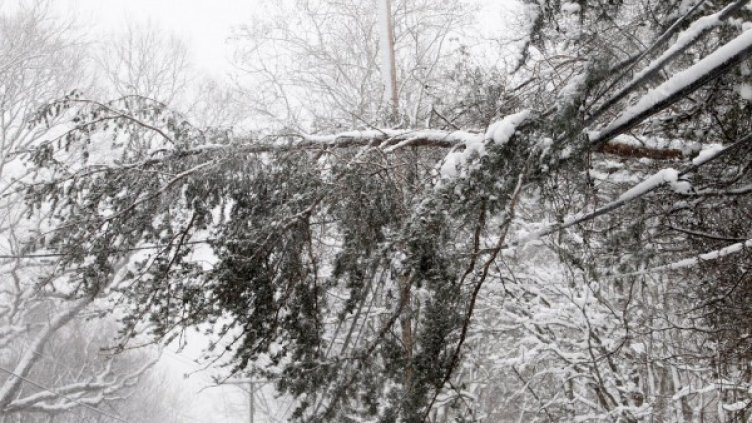 Снимка: архив, Reuters