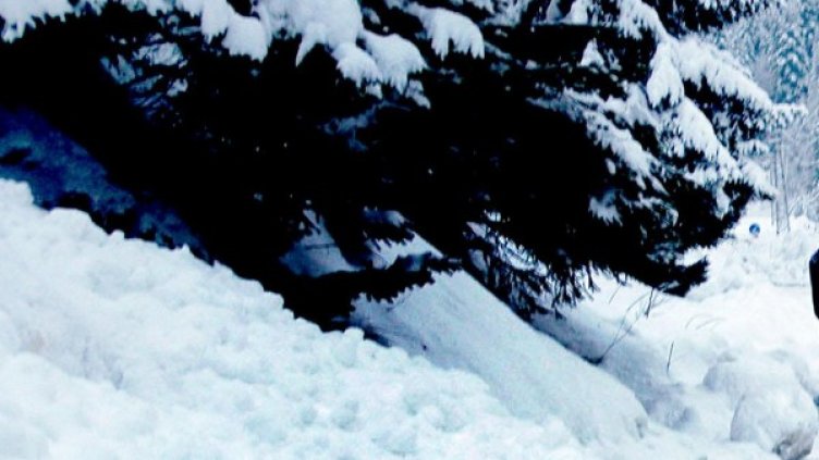 Снимка: архив, Булфото