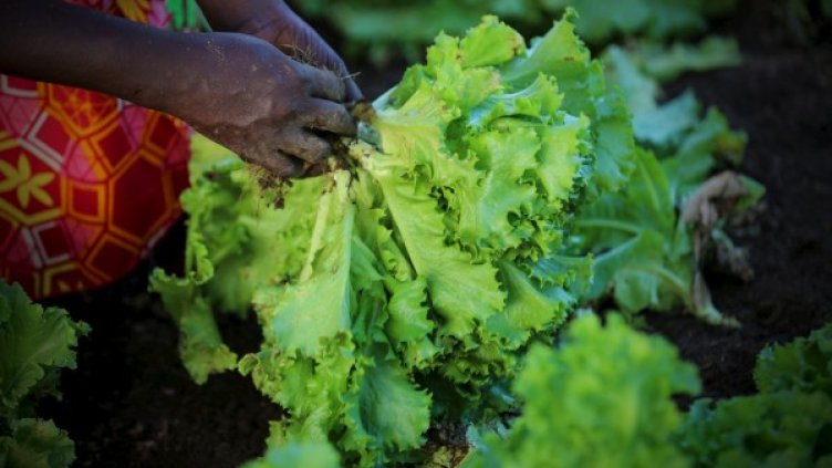 Снимка: Reuters