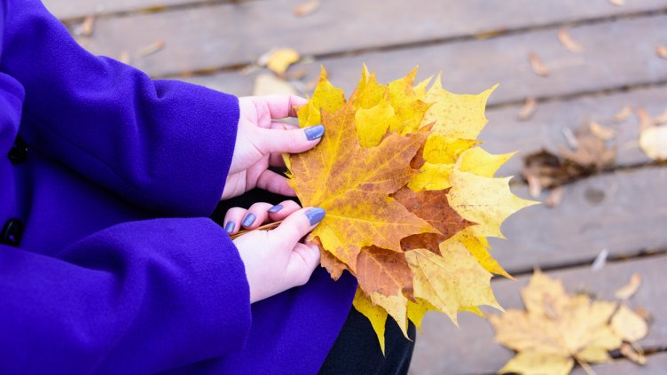 Снимка: iStock/Sergei Dolgov