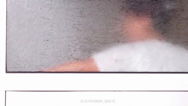 Снимка: Булфото, архив