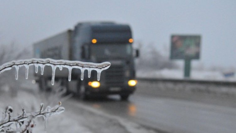 Архив: Булфото
