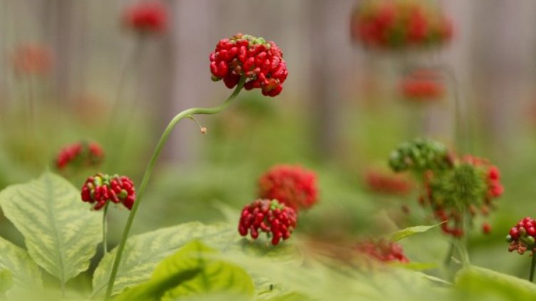 Снимка: Reuters. архив