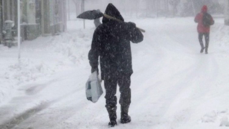 Снимка: Булфото, архив