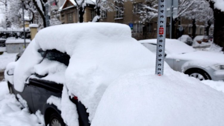 Снимка: Булфото