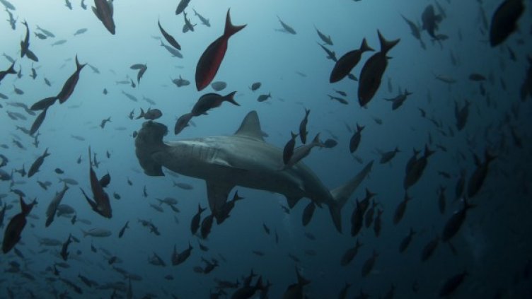 Снимка: Архив Reuters