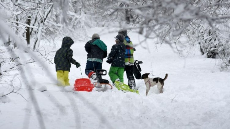 Снимка: Булфото, архив