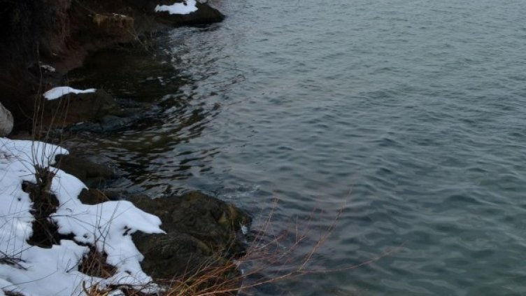 Снимка: архив, БулФото