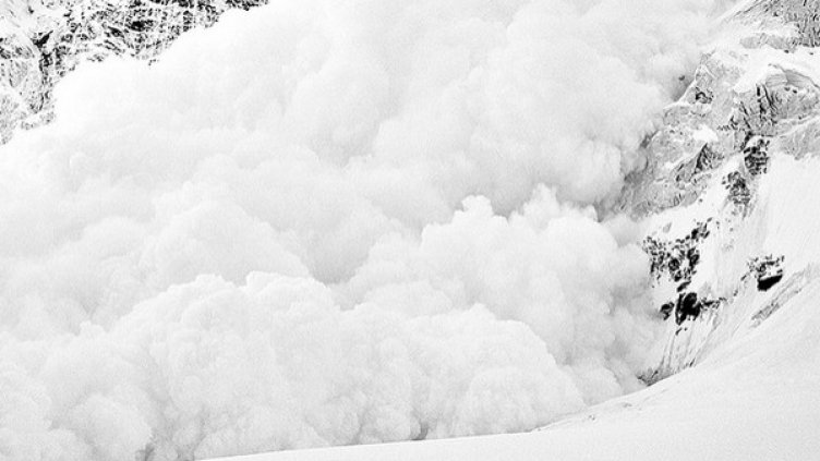 Снимка: flickr