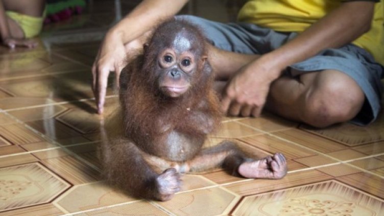 Снимка: кадър Youtube