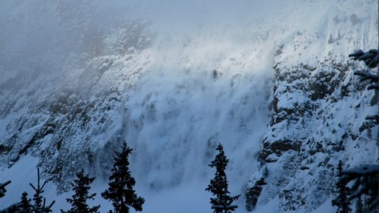 Снимка: flickr