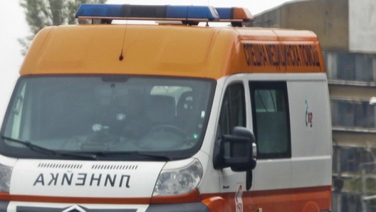 Снимка: Архив Булфото