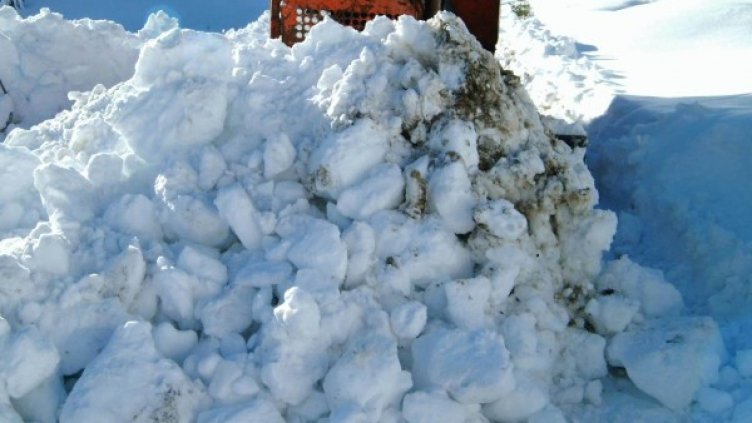 Архив: Булфото