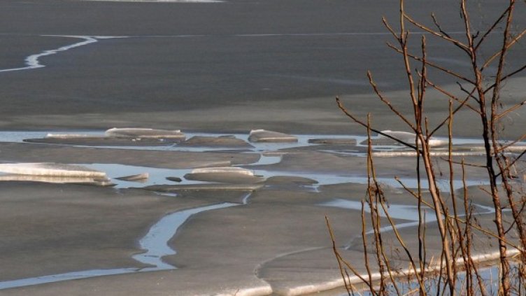 Архив: Булфото