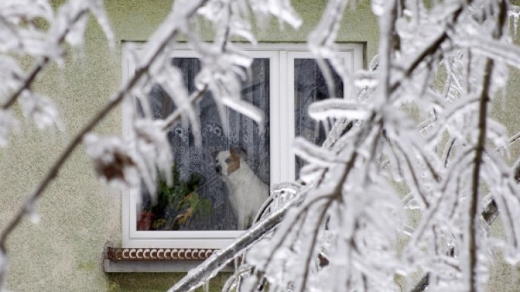 Снимка: архив Reuters