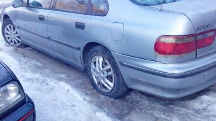 Снимка: Булфото