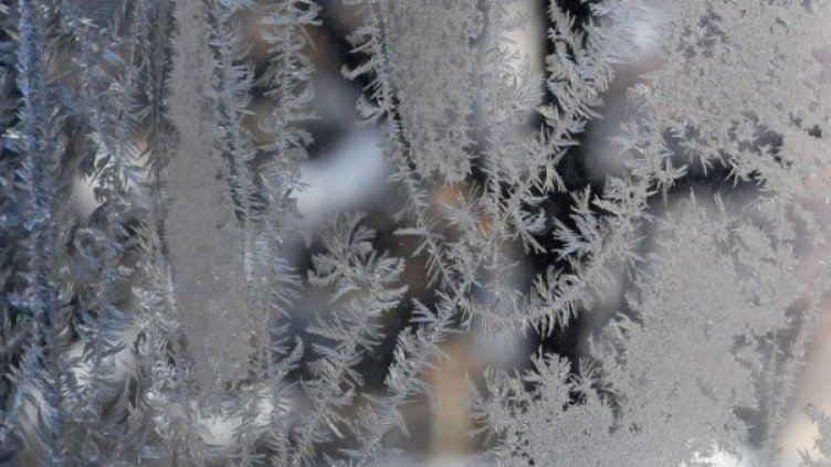 Снимка: архив, БулФото