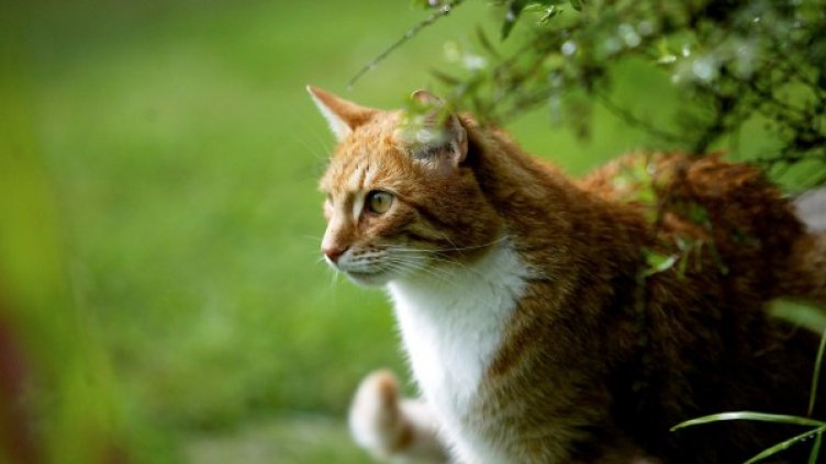 Снимка: Архив Reuters