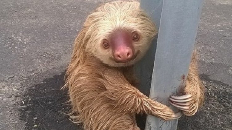 Снимка: Facebook