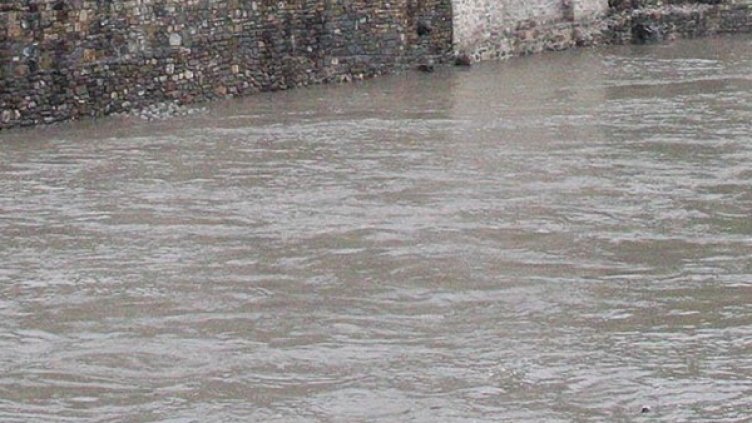 Снимка: Архив Булфото