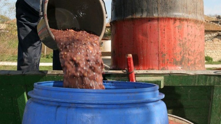 Снимка: Булфото