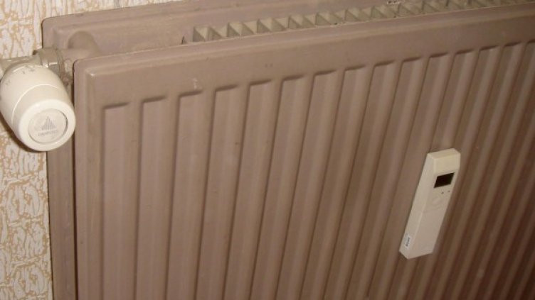 Снимка: Булфото