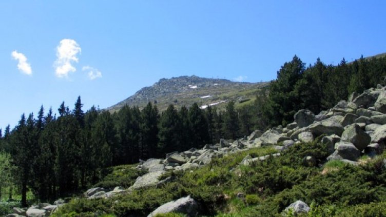 Снимка: Facebook