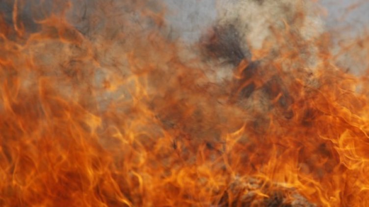 Снимка: Reuters, архив