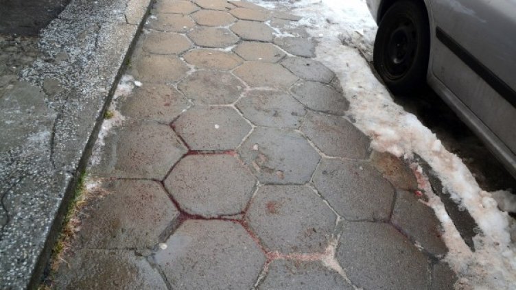 Мястото на самоубийството; Снимка: Булфото