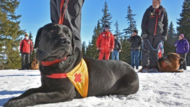 Снимка: Булфото