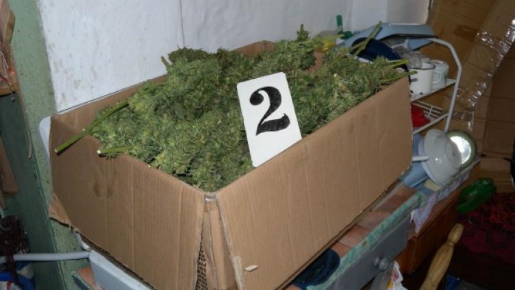 Снимка: архив, Булфото