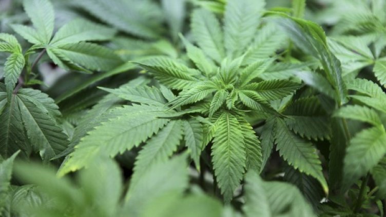 Снимка: архив, Reuters