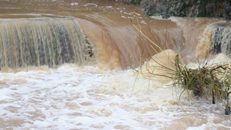 Снимка: архив, БулФото