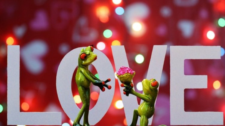 Снимка: pixabay.com