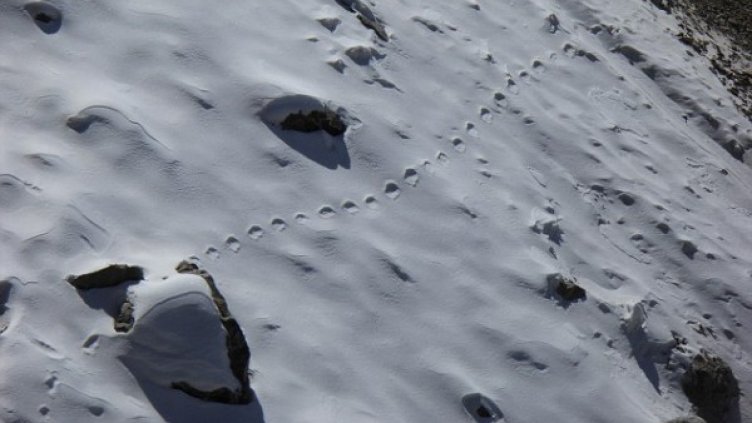 Снимка: Дейли мейл