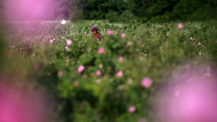 Снимка: Reuters