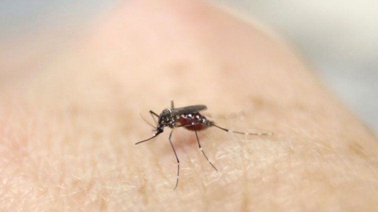 Снимка: Reuters