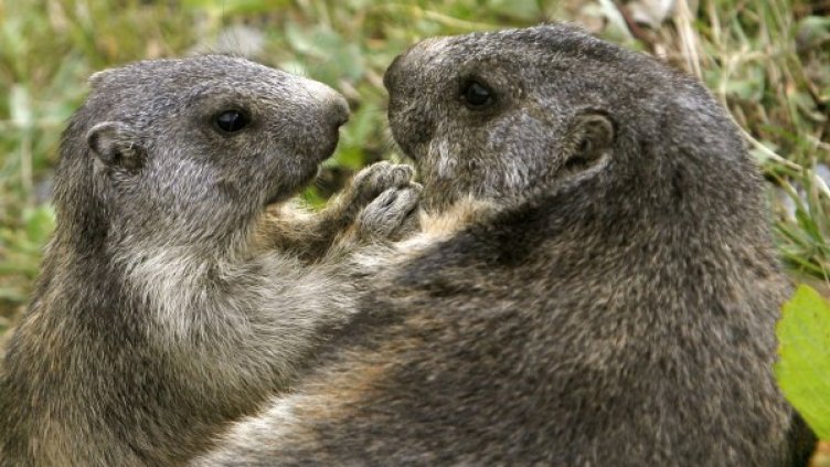 Снимка: архив, Ройтерс