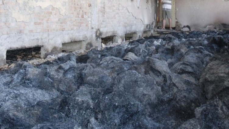 Снимка: Булфото, архив