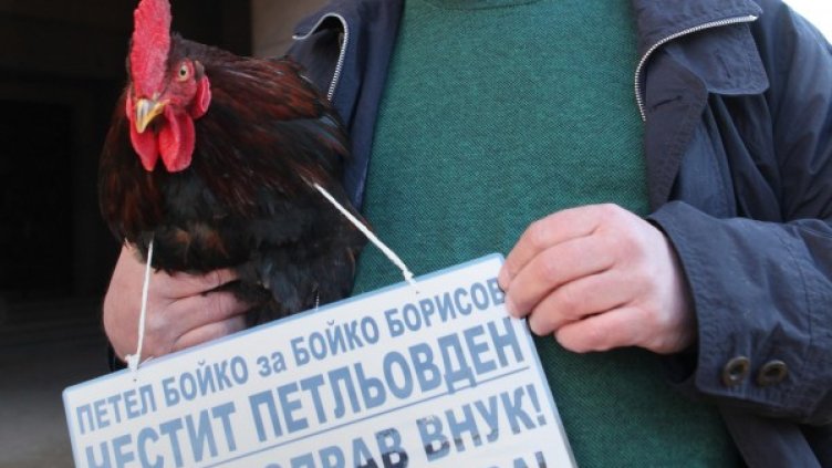 Снимка: Булфото