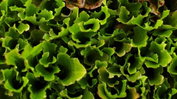 Снимка: Reuters, архив