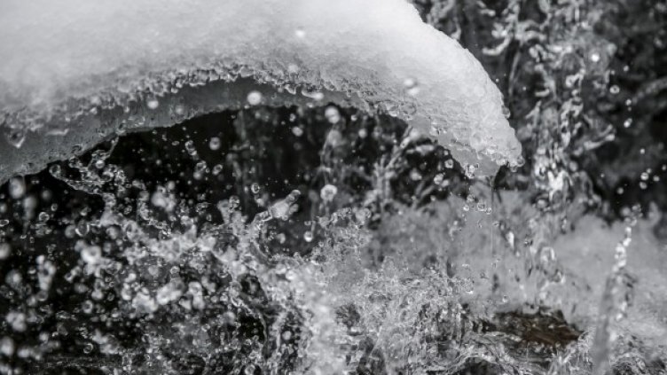 Снимка: Reuters. архив