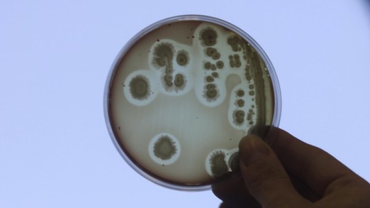 Снимка: Reuters, архив