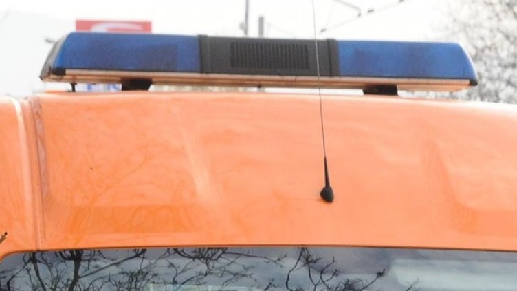 Снимка: Архив Bulphoto