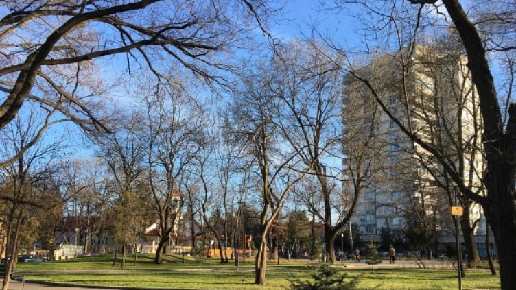 снимка: pixabay