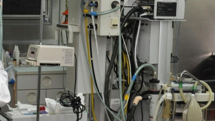 Снимка: архив, БулФото