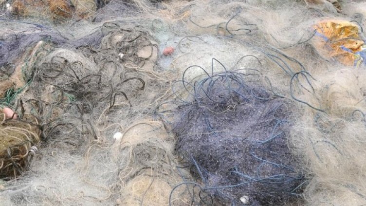 Снимка: Булфото