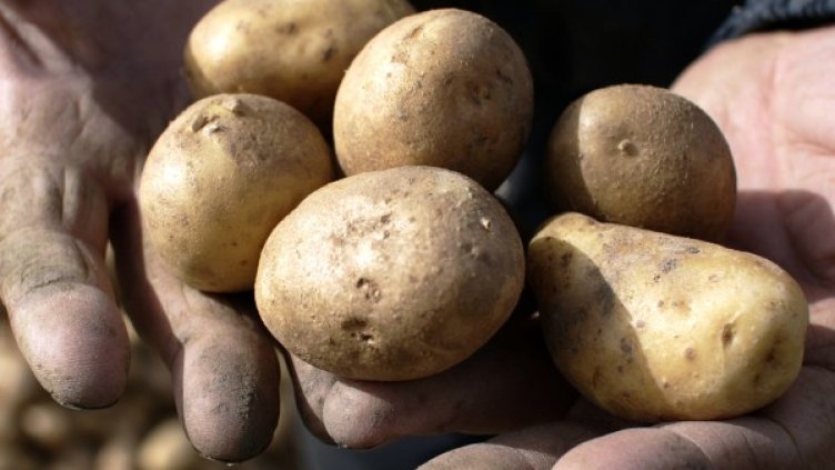 Снимка: Reuters. архив