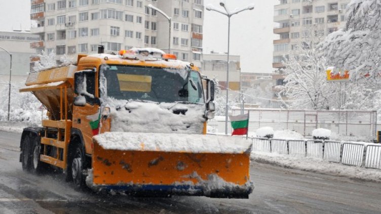 Снимка: Булфото